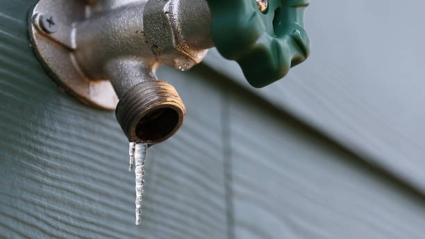 Best Leak Detection Services  in Oswego, NY